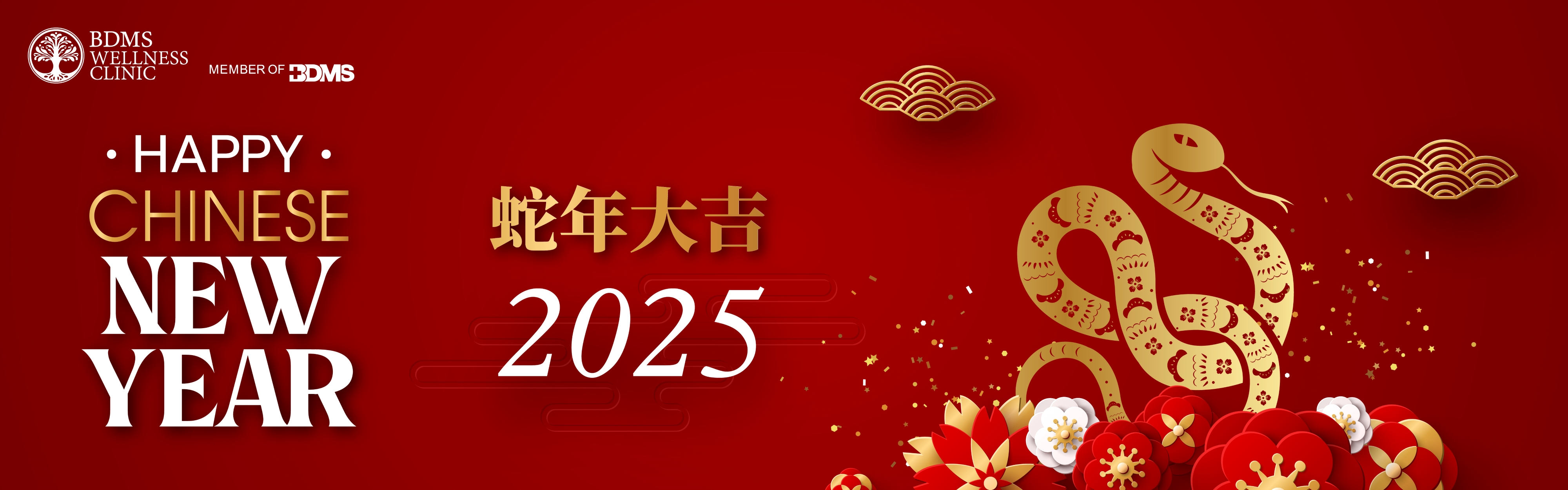 Chinese New Year 2025